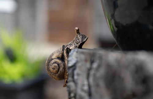 Barclay’s But n Ben - Foto 47