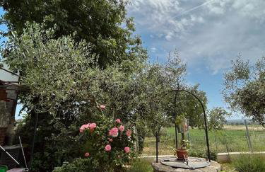 Pomerino Apartmans - Foto 7