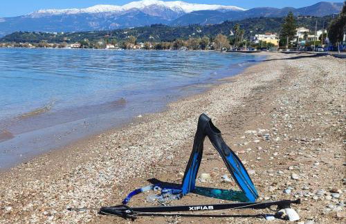 xanthi's sea front villas - Foto 44