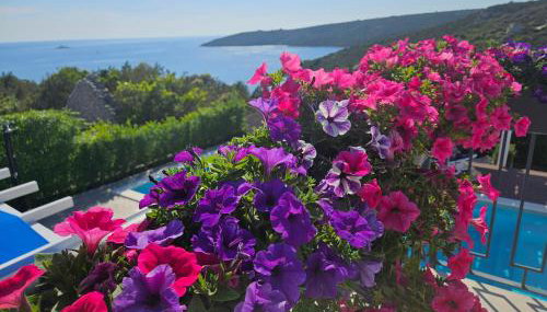 LUXURY VILLA ŠENTADA - Foto 3, Garden view