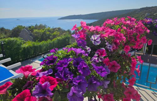 LUXURY VILLA ŠENTADA - Photo 22