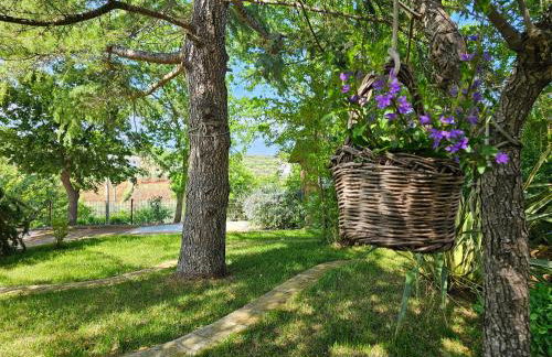 Il trullo felice - Foto 21