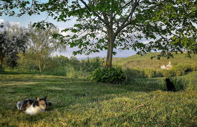 Agriturismo Casa Greppo - Il Noce - Foto 49