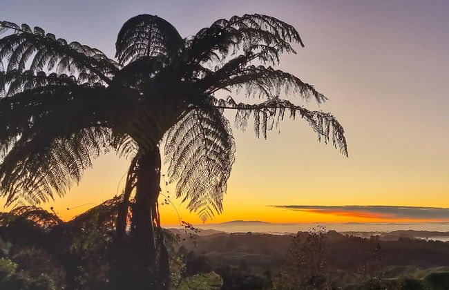 Te Tiro Accommodation - Foto 45