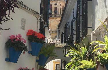 La Condesa de Vallellano - Foto 26