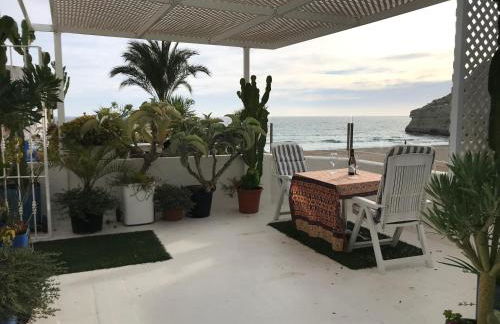 El Jardín del Camaleón - Foto 25