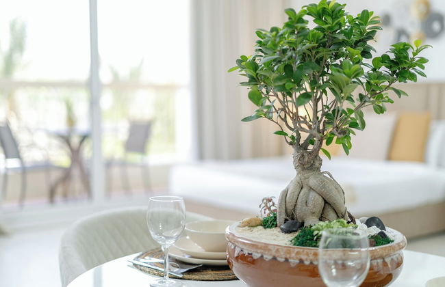 Marco Polo - Spacious Studio Lush View - Photo 27