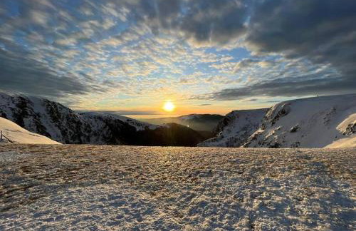 RELAX CHALET Nature Retreat - isolé sur 3 hectares - confort de LUXE - maison entière 150m2 - près de La Bresse - Foto 52