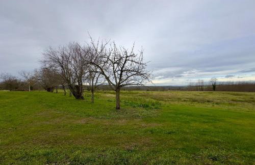 Charmante maison de campagne proche Vichy - Foto 23