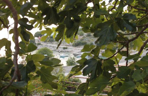 Apartment Lavanda **** - Photo 15