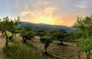 Casa Migliaca - Foto 42