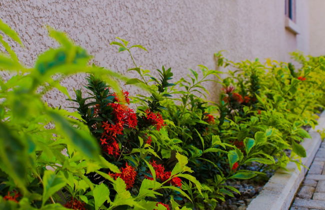 Tenny's Place Apartments - Foto 19