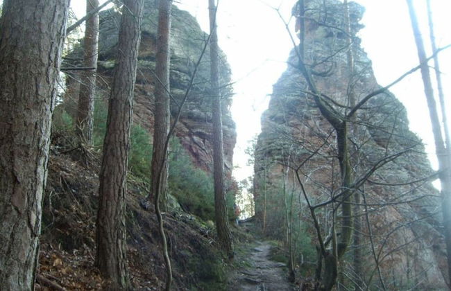 Holiday Apartment on Breitenberg - Photo 11