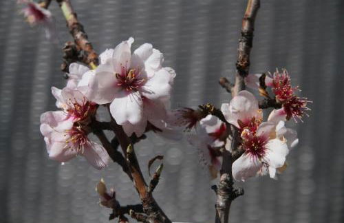 Casa Rural El Refugio - Foto 34