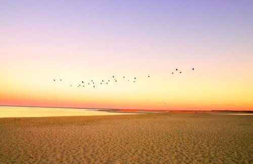 Oyster Beach Bungalow - Foto 6