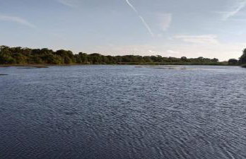 Residencial Acácias Guarajuba - Foto 47