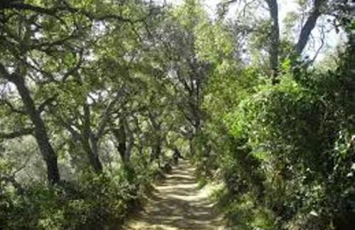 Casa con encanto en Alájar- El Bosque mágico de Alájar - Foto 49