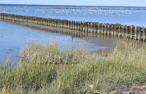 Ferienwohnung Rabenstein - Foto 33