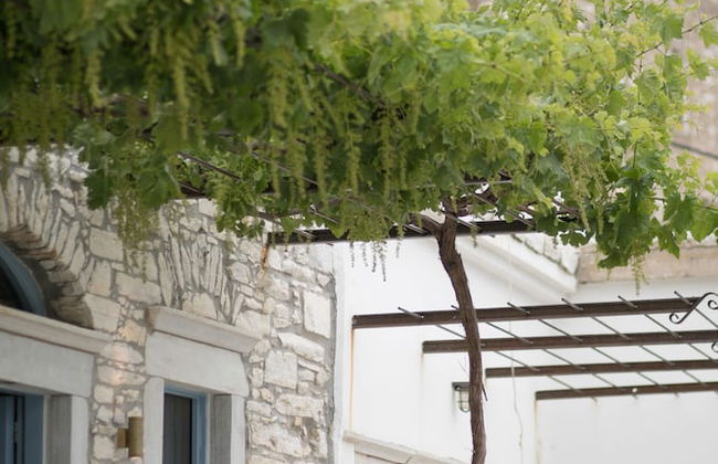 Traditional Inn Pirethron - Foto 36