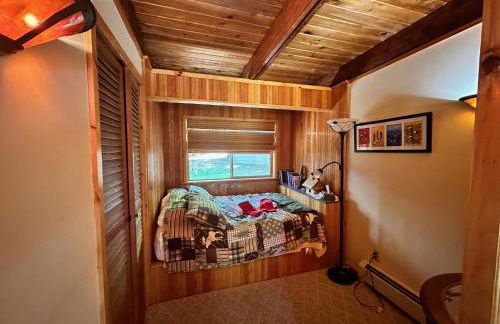 Well-appointed Adirondack cabin directly on 9-mile lake - Foto 60
