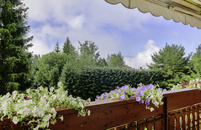 Soldanella 2 - Foto 29