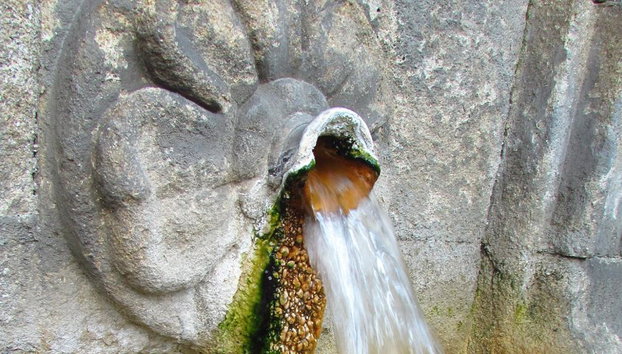 Discover Ourense - Private Walking Tour - Photo 5