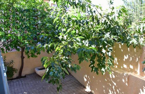 Olive tree house - Foto 22