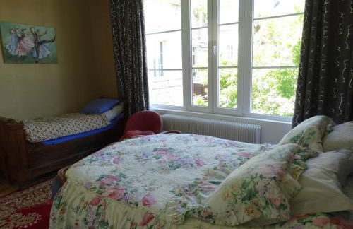 Vue sur Chateau et Loire - Foto 11