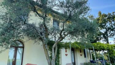 B&B Il Melograno - Foto 2