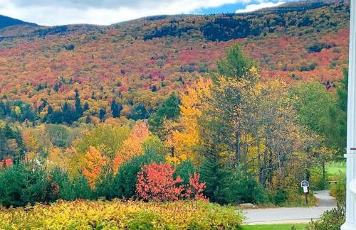 1800OR Unique 'yurt' home in Bretton Woods 1 mi to skiing firepit foosball beach Hot tub - Foto 100