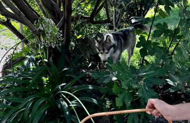 OakTree Villa - Quinta da BellaVista - Foto 39