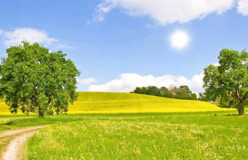 Lovely Home In Krems Iiwarderbrück - Foto 12