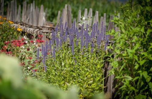 Ferienwohnung Mair am Bach - Foto 10