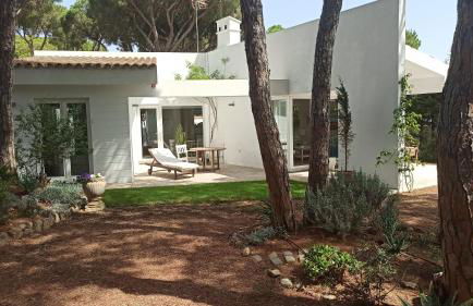 Diseño y luz entre los pinos - Foto 3