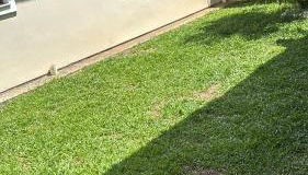 Casa Sil e Jean - Photo 5