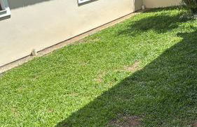 Casa Sil e Jean - Photo 5