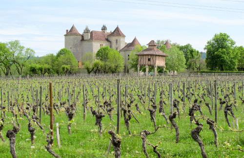 Holiday Home Le Mas de Serre by Interhome - Foto 48