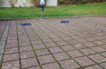 Gemütliches Ferienapartment mit optionaler E-Ladesäule - Foto 11