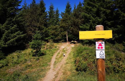 Apt confortable au pied des pistes et de la forêt - Foto 54