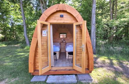 40 Mini Pod - Foto 2