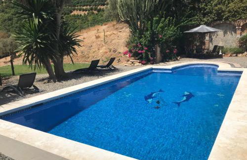 Studio Views Apartment, Cortijo Fruitful Hills - Photo 25