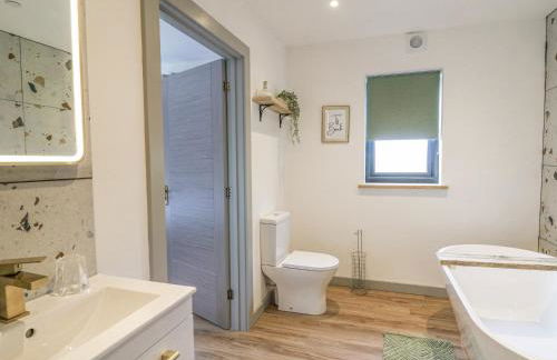 Barcud Coch - Red Kite - Photo 29