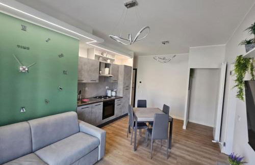 Green Suite Apartment - B&Brother's rome - Foto 18