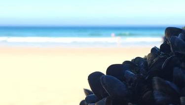 Coombe Cottage - Foto 5