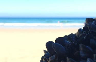 Coombe Cottage - Foto 5