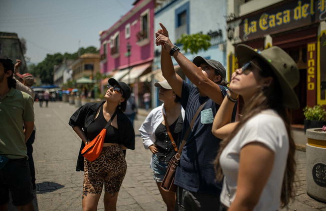 Visita guiada por Oaxaca - Foto 2
