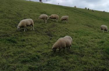 Haus Valentin - Foto 8