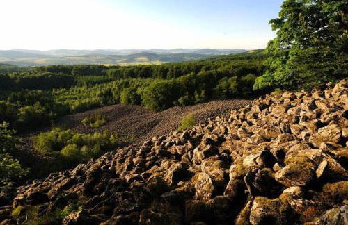 Holiday Apartment Weipert - Photo 30