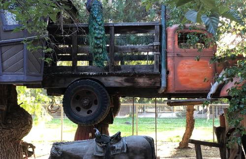 Wine Country Private Working Sheep Farm; Rustic Elegance - Foto 10