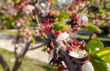 La Casa al Mare - Foto 45